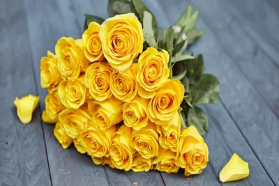 Красивые желтые розы - фотография 