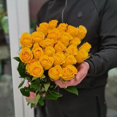 Желтые розы - картинка 