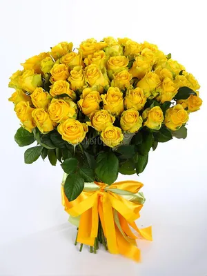 Фотка желтых роз 