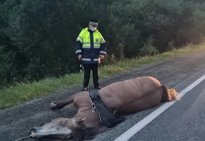 Волшебство Цыган на берегу моря