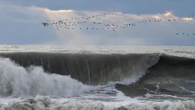 Арт Туапсе море