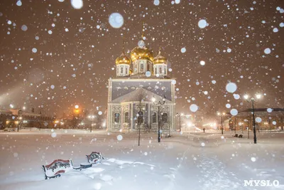 Зимний фотомир: Очарование зимы в Туле через объектив