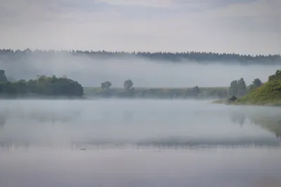 Туман над рекой  фото