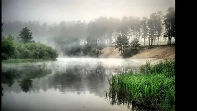 Захватывающий вид: туман нежно ласкает поверхность реки