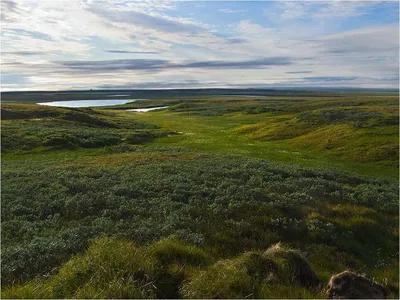 Фотографии Тундры в 4K разрешении