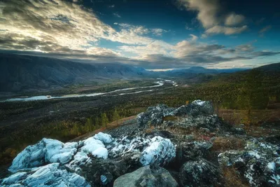 Откройте для себя мир тундры: фотографии, которые впечатляют своим разнообразием