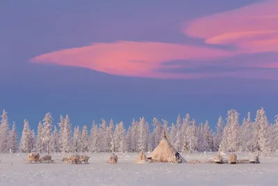 Зимняя тундра: Загадочные красоты на выбор
