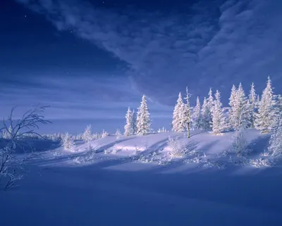Магия зимней тундры: Фото в любом размере и формате