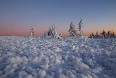 Фото тундры зимой: Очарование в каждом пикселе