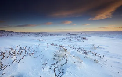 Путешествие по зимней тундре: Фотографии на любой вкус