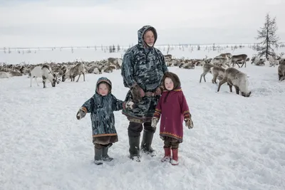 Фотоискусство холода: Зимняя тундра в разных обликах