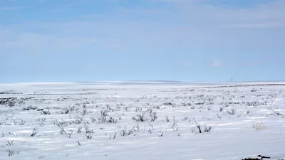 Тундра зимой: Масштабы природы в вашем изображении