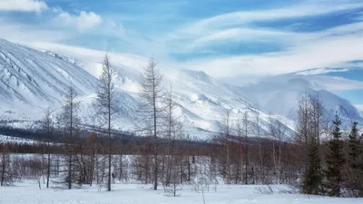 Искусство зимы: Фотографии тундры на ваш выбор