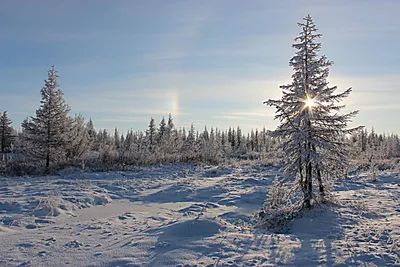 Зимние пейзажи тундры: Великолепие в формате, который вы любите