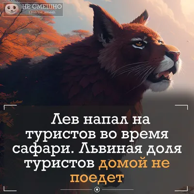 Смешные снимки, которые поднимут вам настроение: Тупые смешные картинки