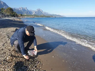 Близость к природе: фотографии удивительной морской фауны в Кемере