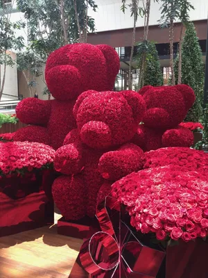 Фото Тысяча роз для всех любителей цветов