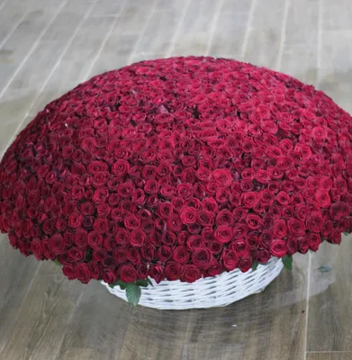 Фотографии Тысяча роз в различных размерах