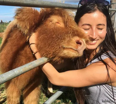 Загрузите смешную фотографию и наслаждайтесь!