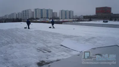 HD Картинка: Высококачественные снежные пейзажи