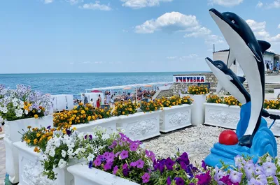 Пляж Учкуевка: место, где можно расслабиться и насладиться