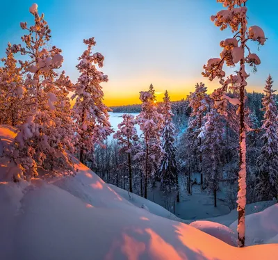 Фотоальбом Уютные зимы: скачивайте ваши фавориты в JPG