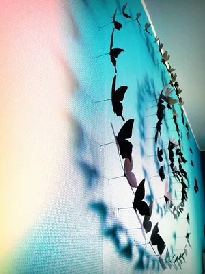 Фотография украшения стен бабочками для вдохновения в доме