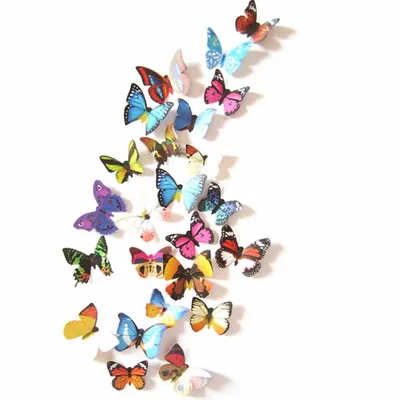Фото, картинка, изображение украшения стен бабочками разных форматов