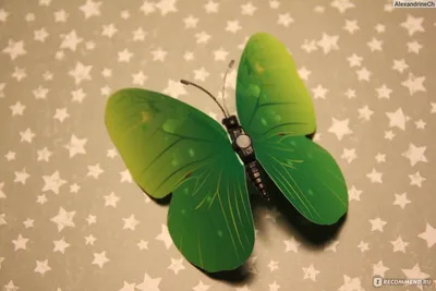 Украшение стен бабочками: фото, отражающее природное великолепие