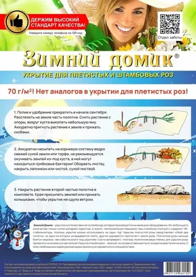 Зимняя фотография: стильные способы зимовки плетистых роз