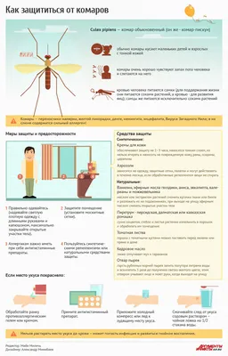 Укус комара: фото аллергической реакции и влияние на здоровье