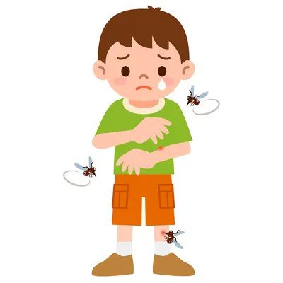 Укус комара ребенка: фото и симптомы вирусных заболеваний