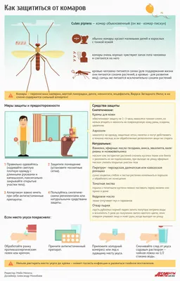Укус комара ребенка: фото и средства от воспаления