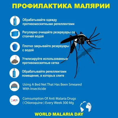 Укус малярийного комара: фото и картинки