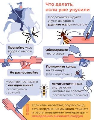 Укусы черных муравьев: захватывающие моменты на фото