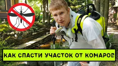 Фотографии укусов подвальных комаров: уникальные моменты