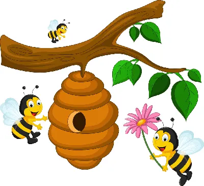 Взгляните на фото улья с пчелами и ощутите их энергию