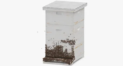 Фото пчеловода с ульем