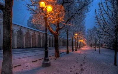 Фото улиц в ночное время зимой: Игра света и тени