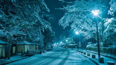 Уличные виды зимней ночью: Моменты замороженной природы в WebP