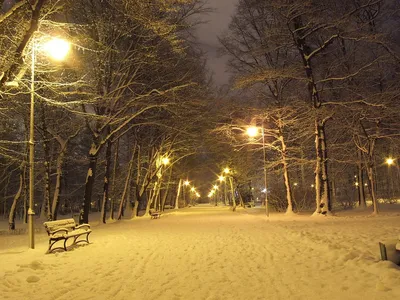 Фотографии улиц в ночное время зимой: Снежные зарисовки в WebP