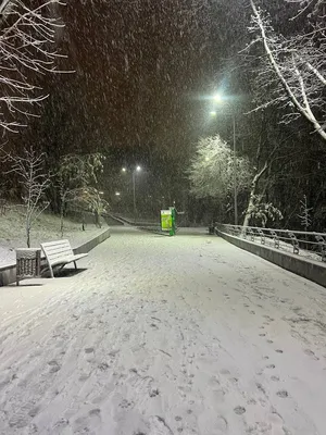 Улицы ночью зимой: Зимние зарисовки в свете фонарей в JPG