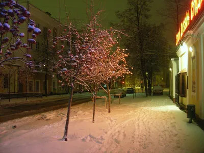 Ночные виды улиц зимой: Фото заснеженных дорожек в WebP