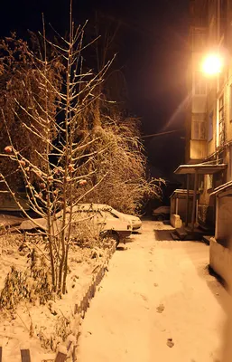 Зимние улицы: Изображения мерцающих фонарей и снега в JPG