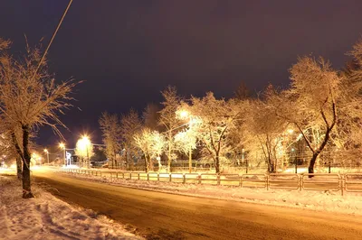 Уличные виды зимней ночью: Моменты замерзшей природы в JPG