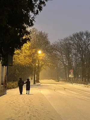 Фотографии улиц зимой: Мягкий снег и зимний вечер