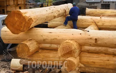 Уникальные дома из дерева на фото: качество в каждой детали