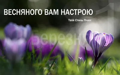 Full HD изображения весны