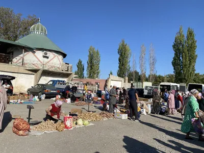 Фотографии Урюк дерева, передающие его мистическую энергию