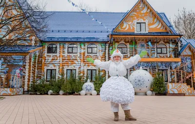 Усадьба деда мороза в кузьминках фотографии